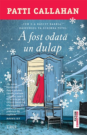 A fost odată un dulap - Patti  Callahan