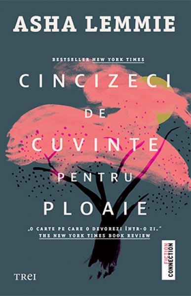Cincizeci de cuvinte pentru ploaie - Asha Lemmie