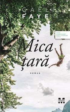 Mica țară - Gaël Faye
