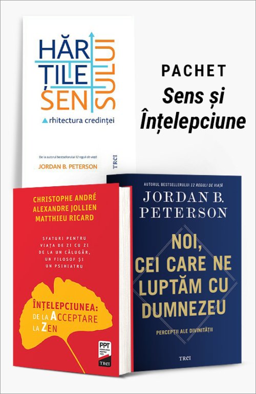 Pachet Sens și Înțelepciune - Jordan B. Peterson, Christophe Andre, Alexandre Jollien, Matthieu Ricard