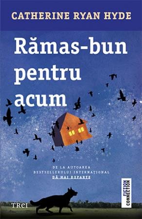 Rămas bun pentru acum - Catherine Ryan Hyde