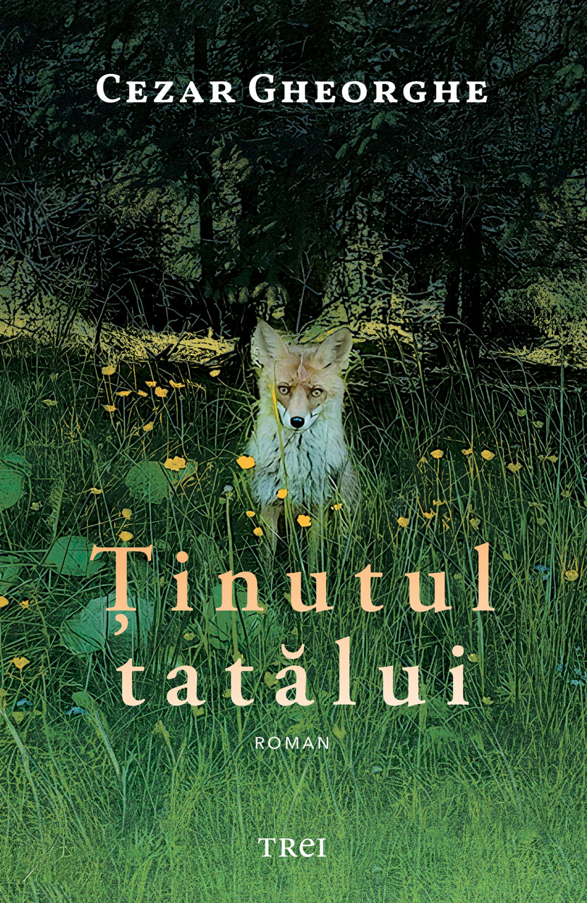 Cover of Tinutul tatalui by Cezar Gheorghe