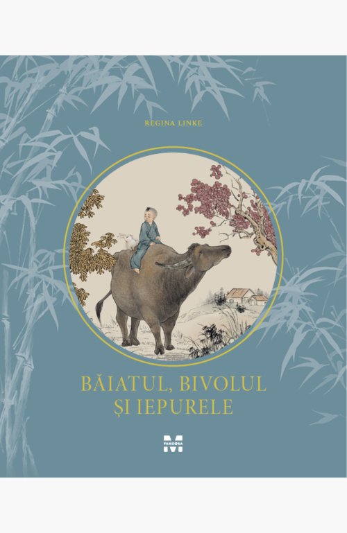Băiatul, bivolul și iepurele - Regina Linke