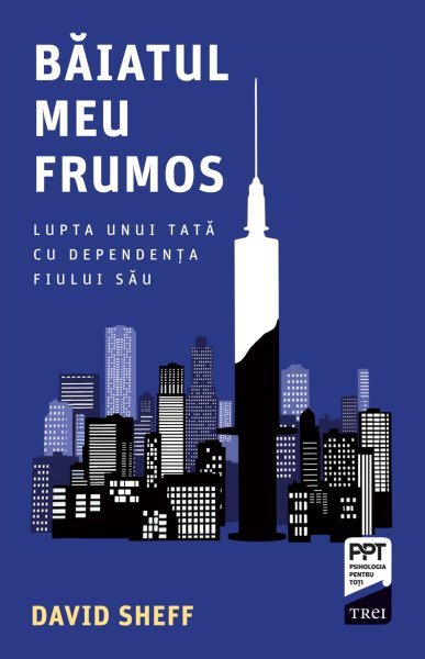 Băiatul meu frumos - David Sheff