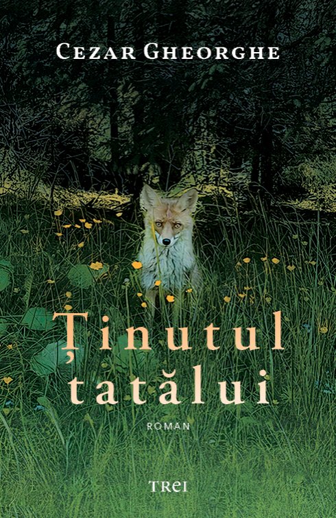 Ținutul tatălui - Cezar Gheorghe