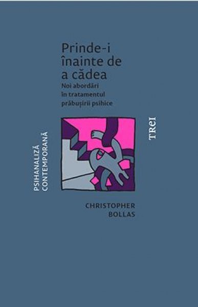 Prinde-i înainte de a cădea. Noi abordări în tratamentul prăbușirii psihice - eBook - Christopher Bollas