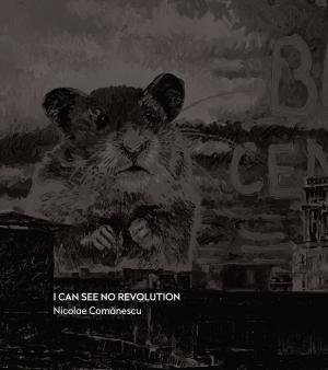 I can see no revolution - 