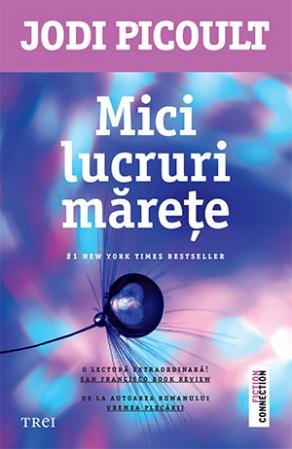 Mici lucruri mărețe - 