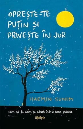 Oprește-te puțin și privește în jur - Haemin Sunim