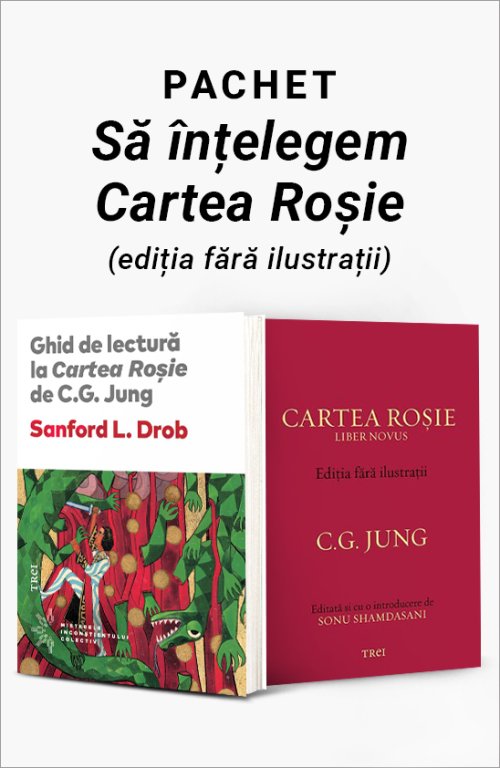 Pachet - Să înțelegem Cartea Roșie (ediția fără ilustrații) - C.G. Jung