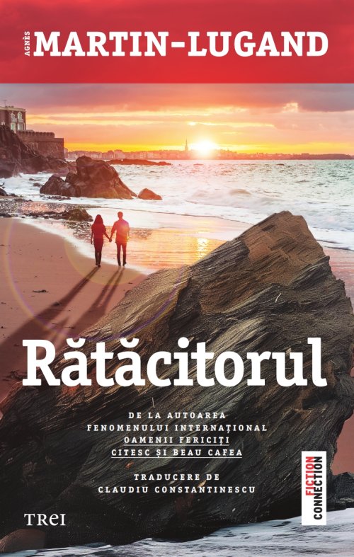 Rătăcitorul - Agnès Martin-Lugand