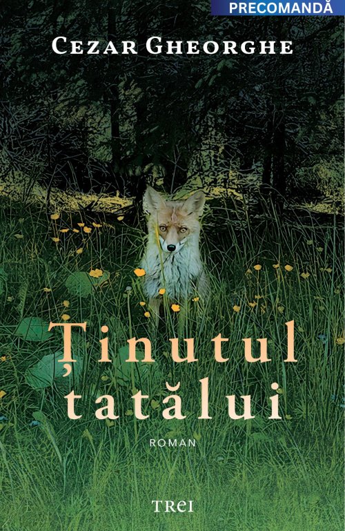 Ținutul tatălui - Cezar Gheorghe