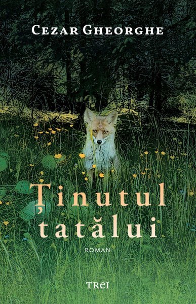 Ținutul tatălui - Cezar Gheorghe