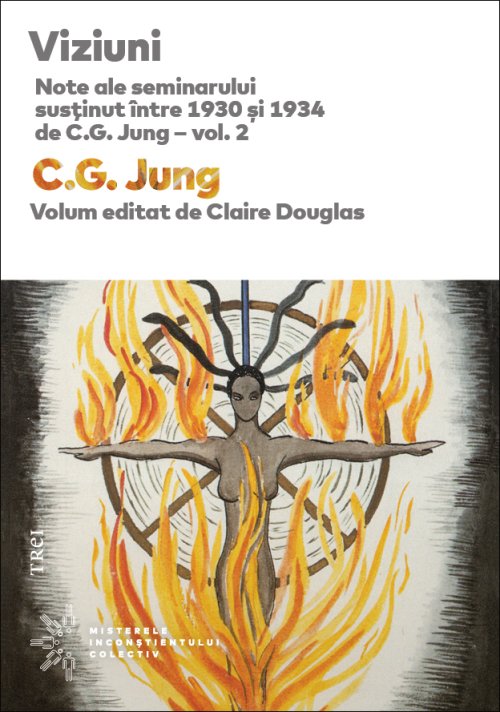 Viziuni - C.G. Jung