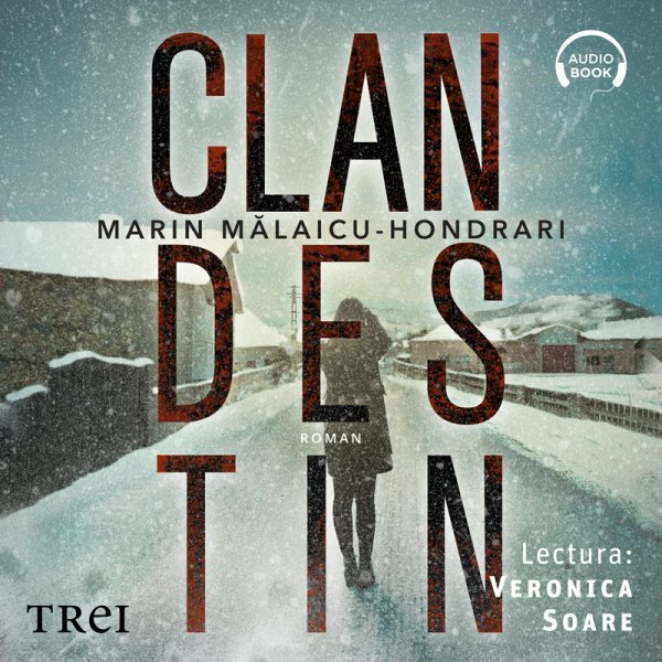 Clandestin - Marin Mălaicu-Hondrari