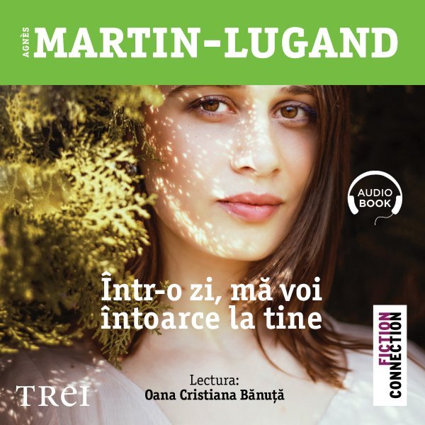 Într-o zi mă voi întoarce la tine - Agnès Martin-Lugand