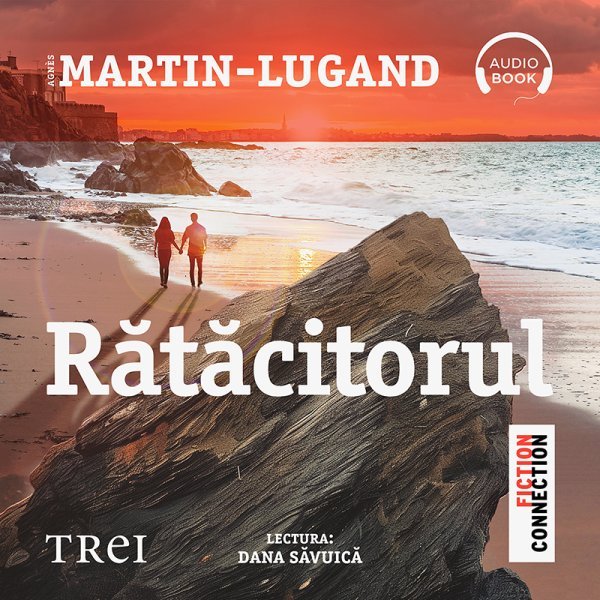 Rătăcitorul - Agnès Martin-Lugand