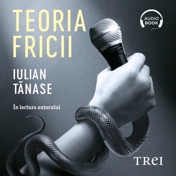 Teoria fricii - Iulian Tănase
